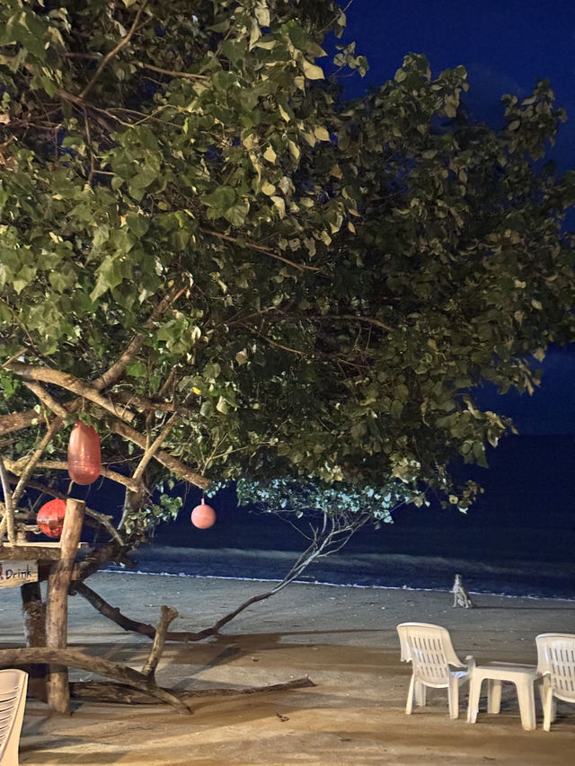 Joy Beach Cafe 🏄🏻‍♀️ คาเฟ่ริมทะเล บรรยาศดี้ดีย์