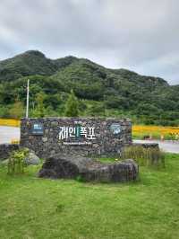 황화코스모스 가득핀 연천 재인폭포