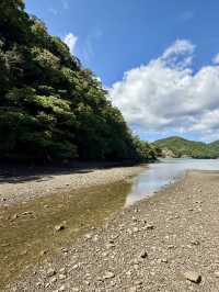 【長崎県】龍神伝説と海中鳥居が神秘的な神社