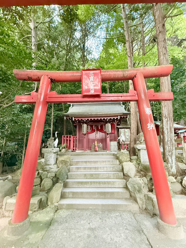 【福岡県】大願叶う奥宮めぐり