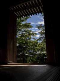 【京都観光】かわいい羅漢像がいっぱい！「愛宕念仏寺」⛩️🗿