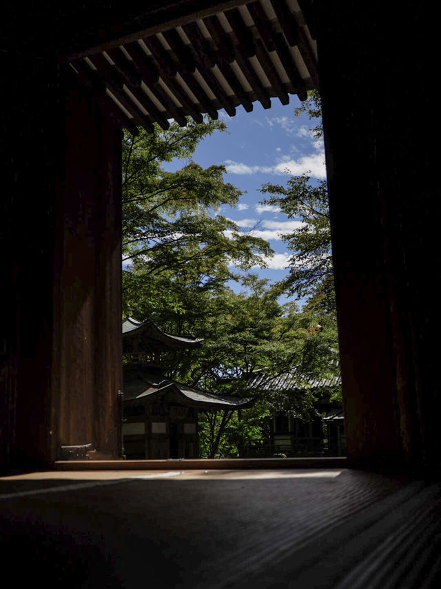 【京都観光】かわいい羅漢像がいっぱい！「愛宕念仏寺」⛩️🗿