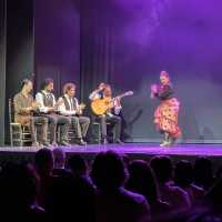 Live flamenco show