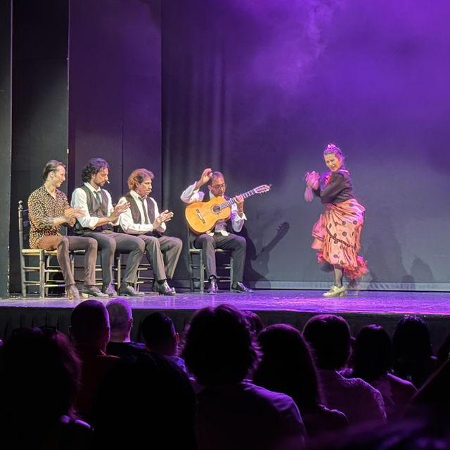 Live flamenco show