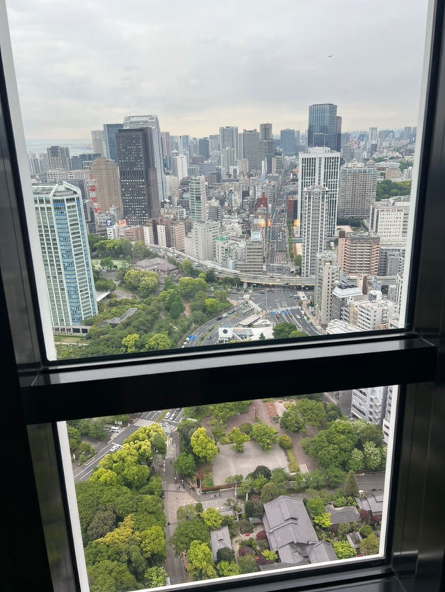 나만 알고싶은 🇯🇵도쿄하루여행코스🖍️예쁜 곳들만 딱 집어 알려드립니다🤲🏻🇯🇵