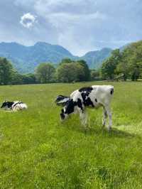 【戸隠】戸隠にある最強牧場🐮🔥