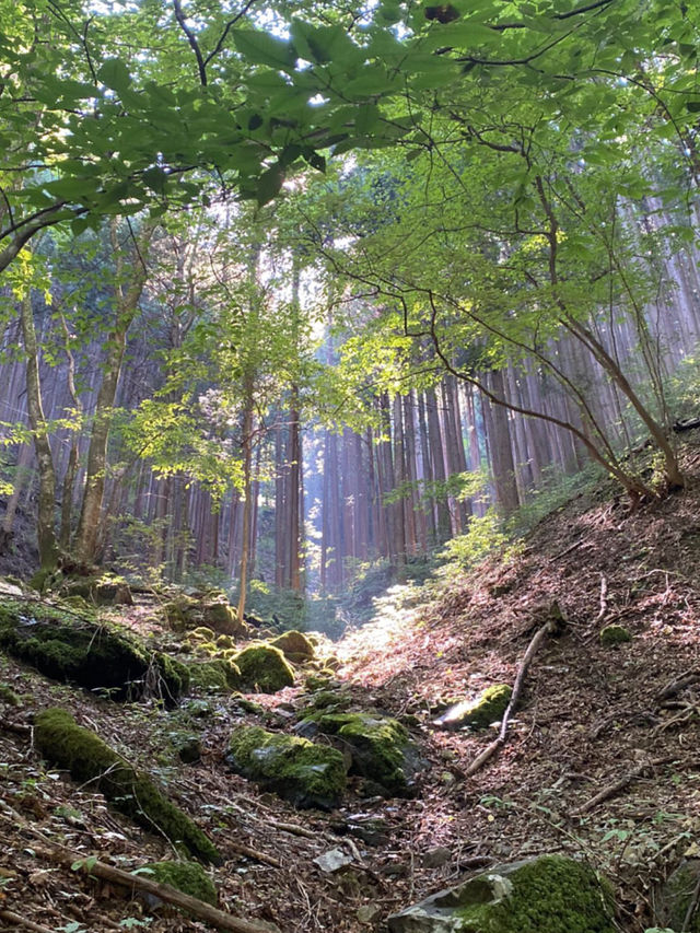 【東京都･青梅市】都内から日帰りで行ける山！
