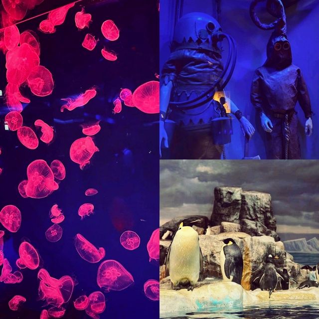 名古屋港水族館 NAGOYA