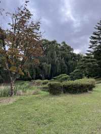 【佐久市】まるで日本庭園！？無料で楽しむ中嶋公園🌳