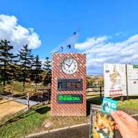 旭川景點｜亞洲觀賞極地動物最近的動物園—旭川動物園