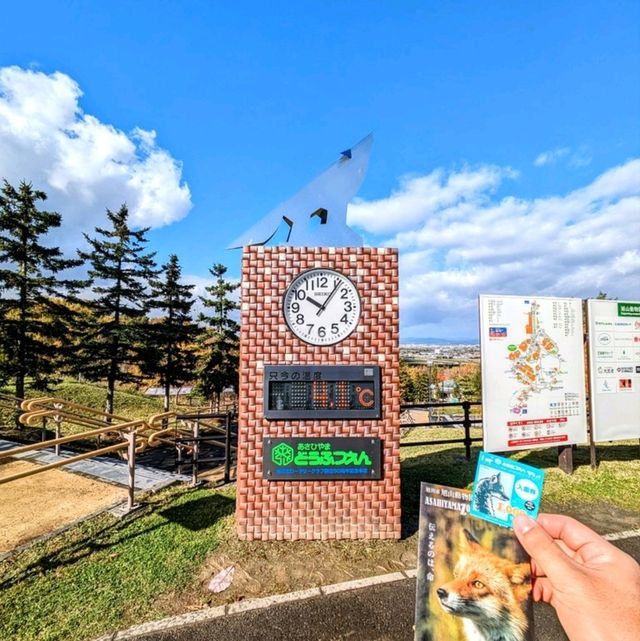 旭川景點｜亞洲觀賞極地動物最近的動物園—旭川動物園