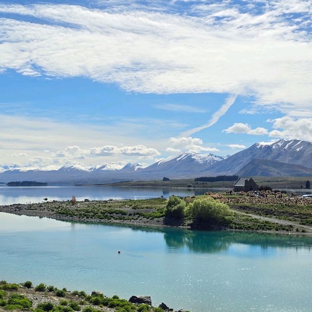 紐西蘭南島Lake Tekapo ～好美