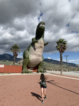 美國景點｜藏在沙漠裡的大恐龍🦖