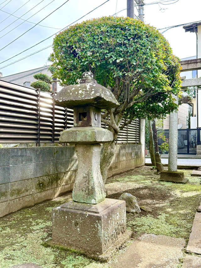 【埼玉県】所沢市の談山神社より勧請した神社