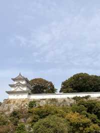 日本獨旅18天Day12 舞子 明石