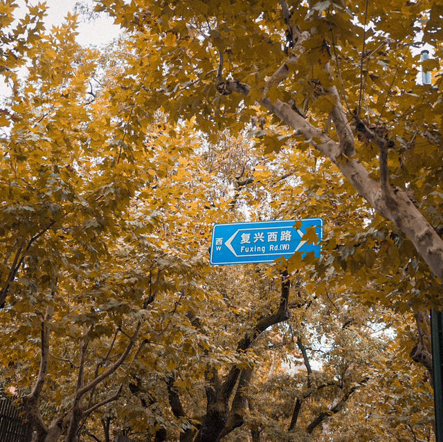 Shanghai Citywalk but in Autumn