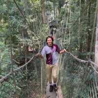 My Taman Negara Adventure!