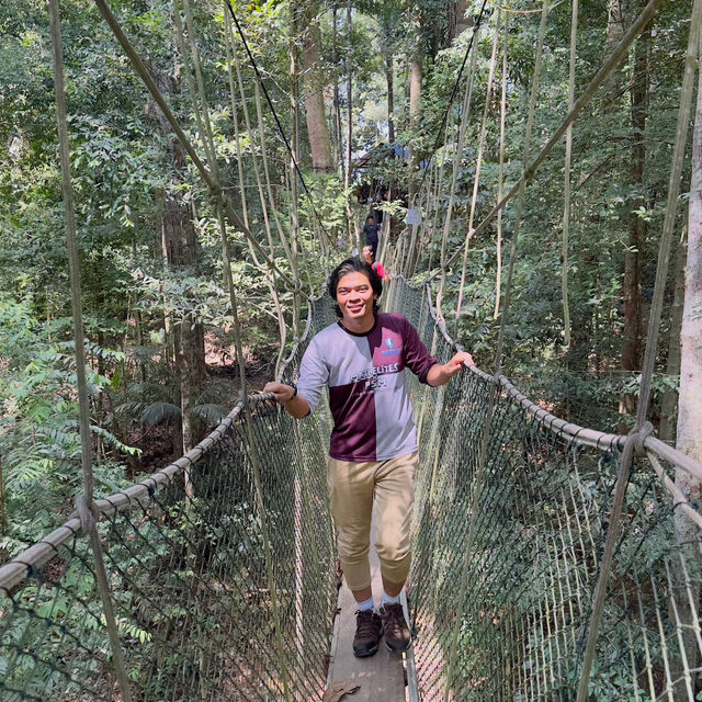 My Taman Negara Adventure!