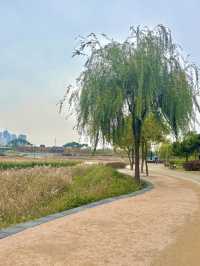 매일 산책하고 싶은 장소인 청라호수공원🌳💚