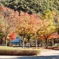 Miryang: A Fall Destination Worth Visiting Every Year