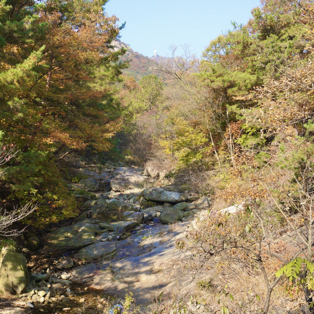 가을에 오르면 제맛인 경기5악 명산 오르기 - 관악산 