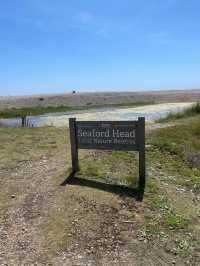 Seven Sisters White Cliffs 