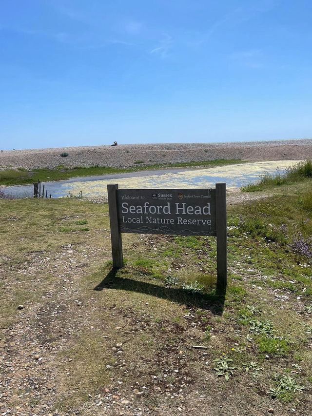 Seven Sisters White Cliffs 