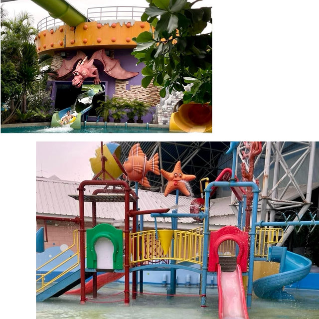 Pororo水上樂園-可愛企鵝為主題，水上設施外，更可一齊互動