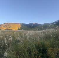 秋の九州大自然満喫プラン🍂