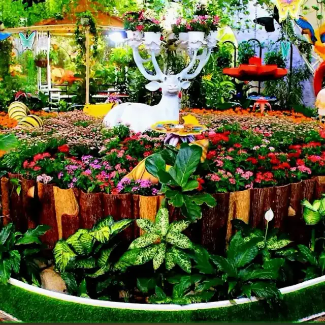 Dubai: A Paradise of Butterflies and Flowers.