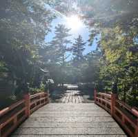 【京都】玉の輿神社⛩️