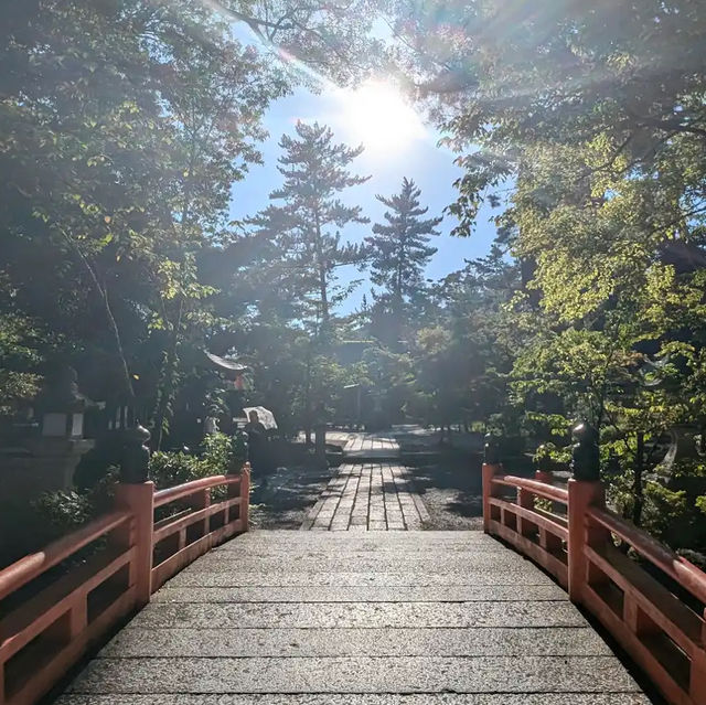 【京都】玉の輿神社⛩️