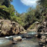 A Hidden Gem in Bali: Nukad Tampaksiring