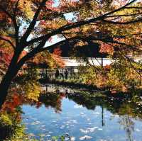  Monet's pond