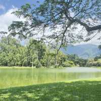 Beautiful Rain Town - Taiping, Malaysia