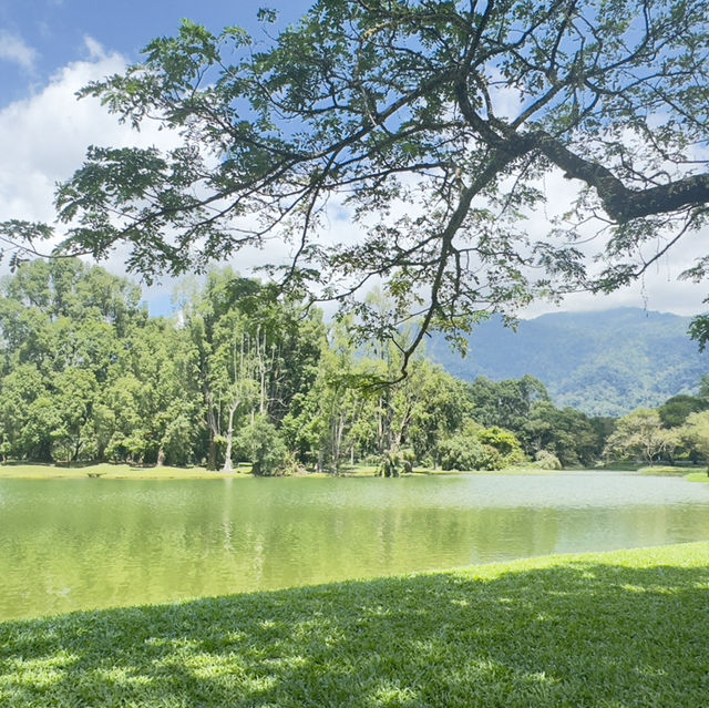 Beautiful Rain Town - Taiping, Malaysia