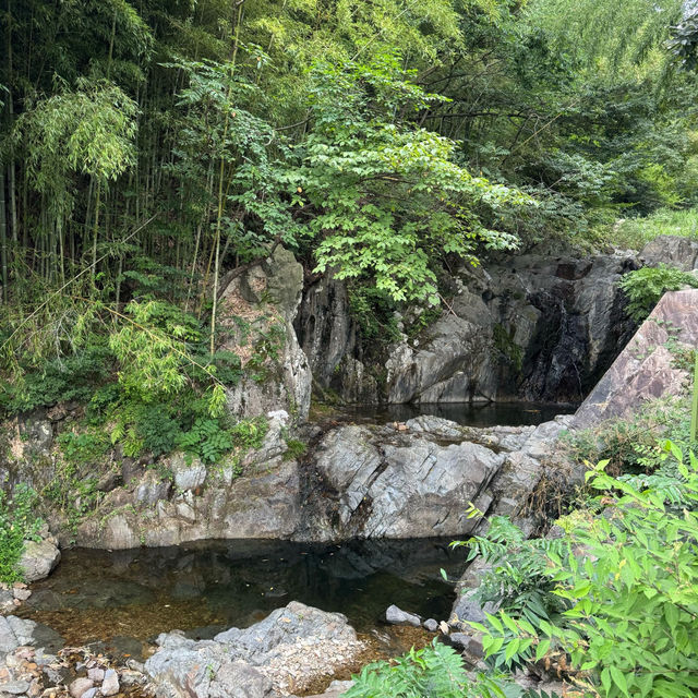🏡🧶숲속의 부산 기장대형카페 추천 아틀리에 은유재