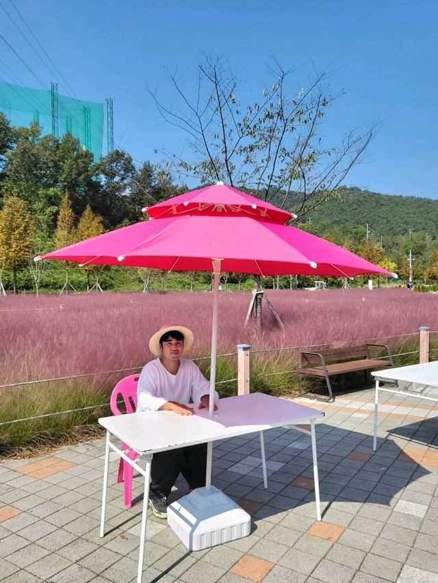 핑크뮬리와 가을꽃이 가득한 합천 여행지
