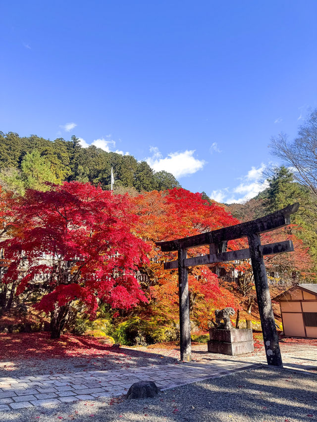 📍 【栃木】鹿沼市の彩る紅葉