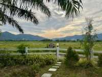 ลานโอบรักแคมป์ปิ้ง & Tree’N Bear Cafe