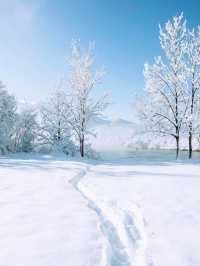 Winter Wonders: Exploring Bavaria in the winter ❄️ 