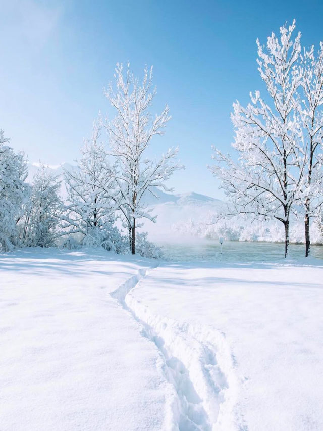 Winter Wonders: Exploring Bavaria in the winter ❄️ 