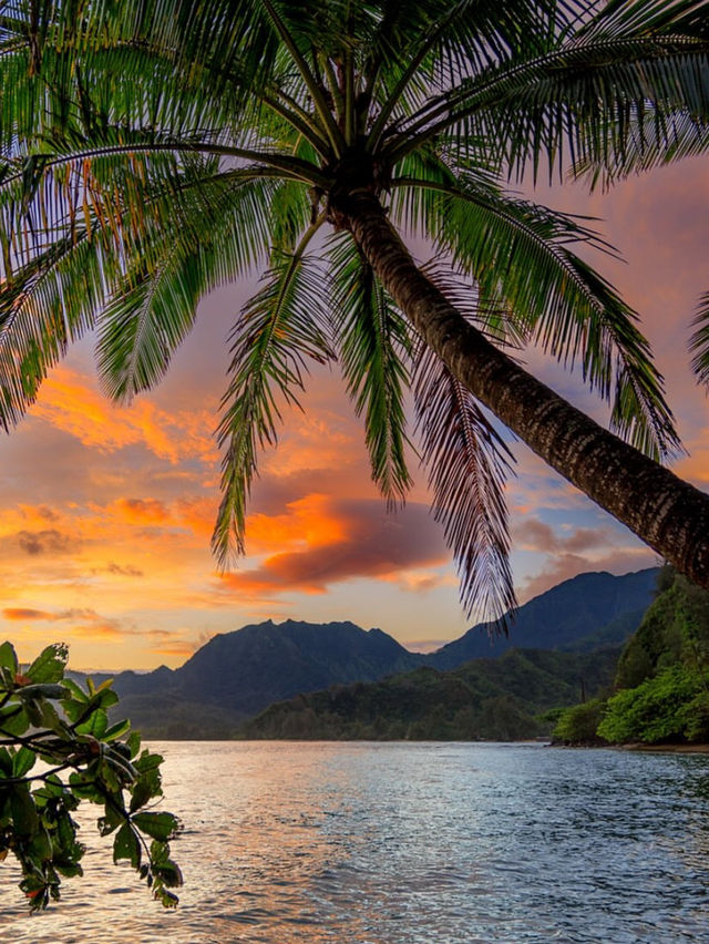 Why You Need to Visit Kauai, Hawaii