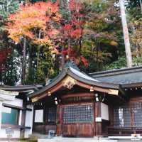 Sakurayama Hachimangu Shrine