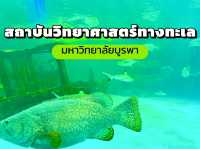 ชมโลกใต้ท้องทะเลที่สถาบันวิทยาศาสตร์ทางทะเล