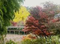 千葉🇯🇵本土寺