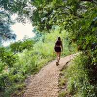 How to hike around Jeju 🇰🇷 🥾 
