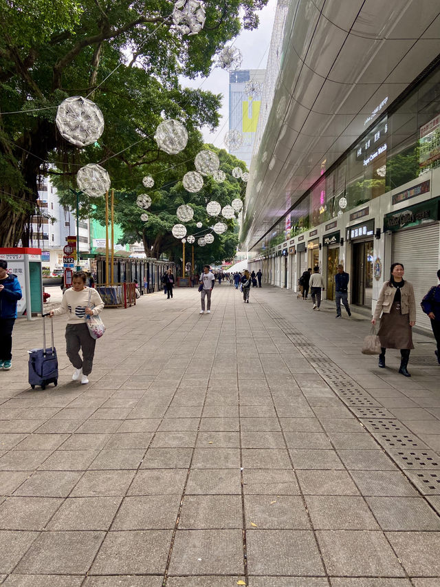 🔥香港彌敦道｜必遊繁華城市大道🛣️🚶🏻