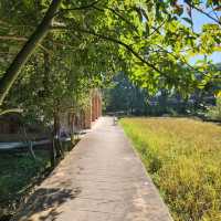 เที่ยวพักผ่อนท่ามกลางธรรมชาติ - Phuanna Eco House