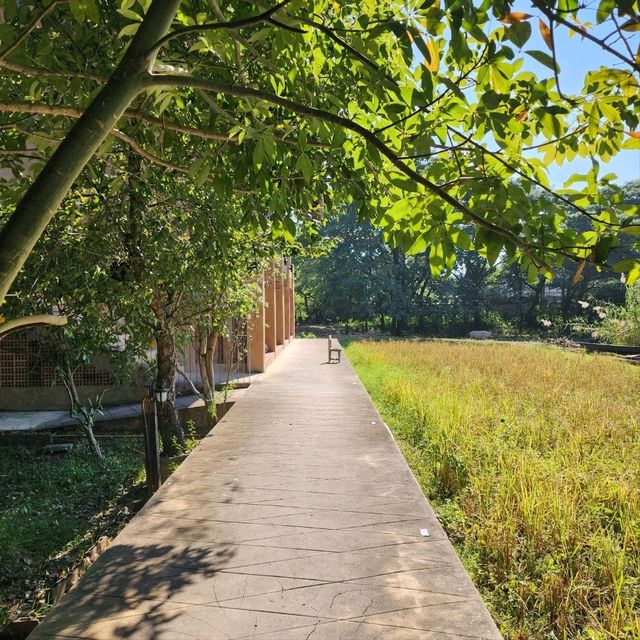 เที่ยวพักผ่อนท่ามกลางธรรมชาติ - Phuanna Eco House